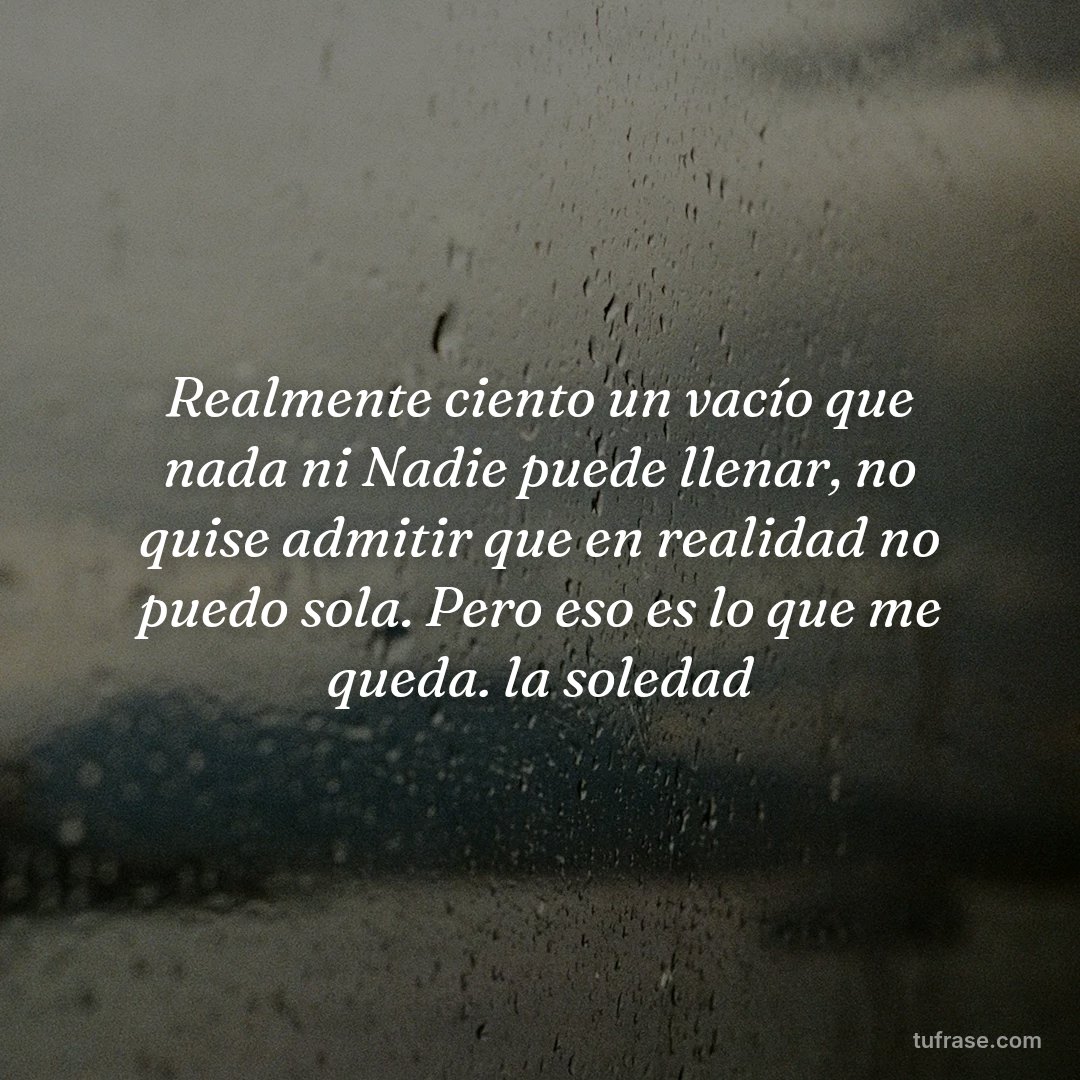 Realmente ciento un vacío que nada ni Nadie puede llenar, no quise admitir que en realidad no puedo sola. Pero eso es lo que me queda. la soledad