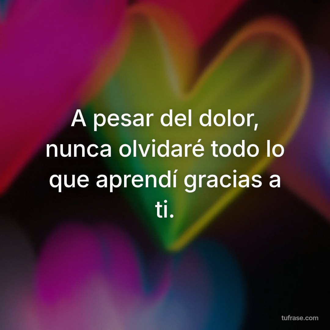 A pesar del dolor, nunca olvidaré todo lo que aprendí gracias a ti.