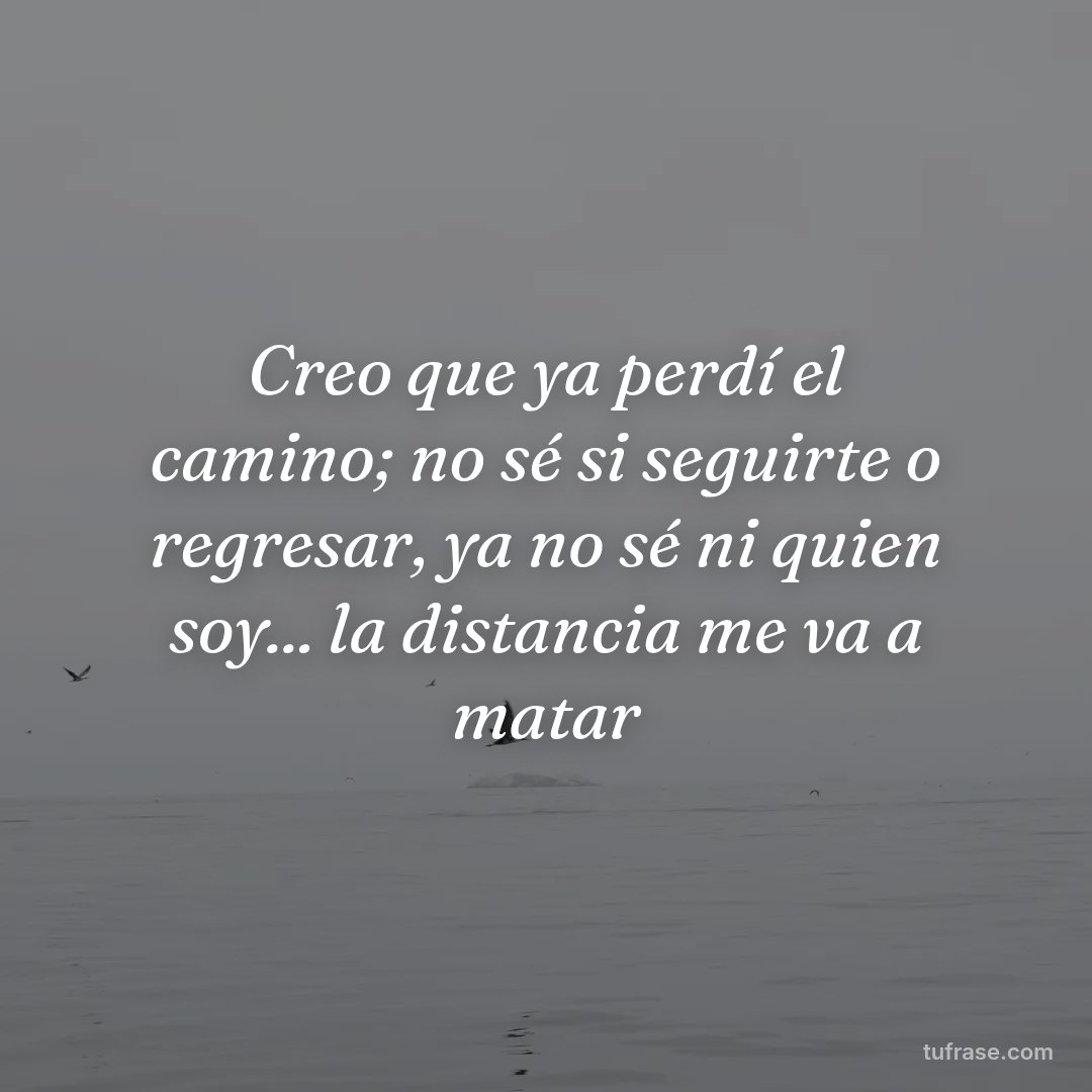 Creo que ya perdí el camino; no sé si seguirte o regresar, ya no sé ni quien soy... la distancia me va a matar