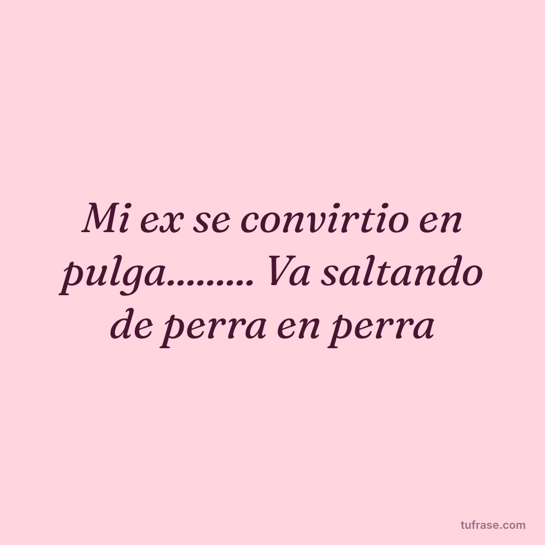 Mi ex se convirtio en pulga......... Va saltando de perra en perra