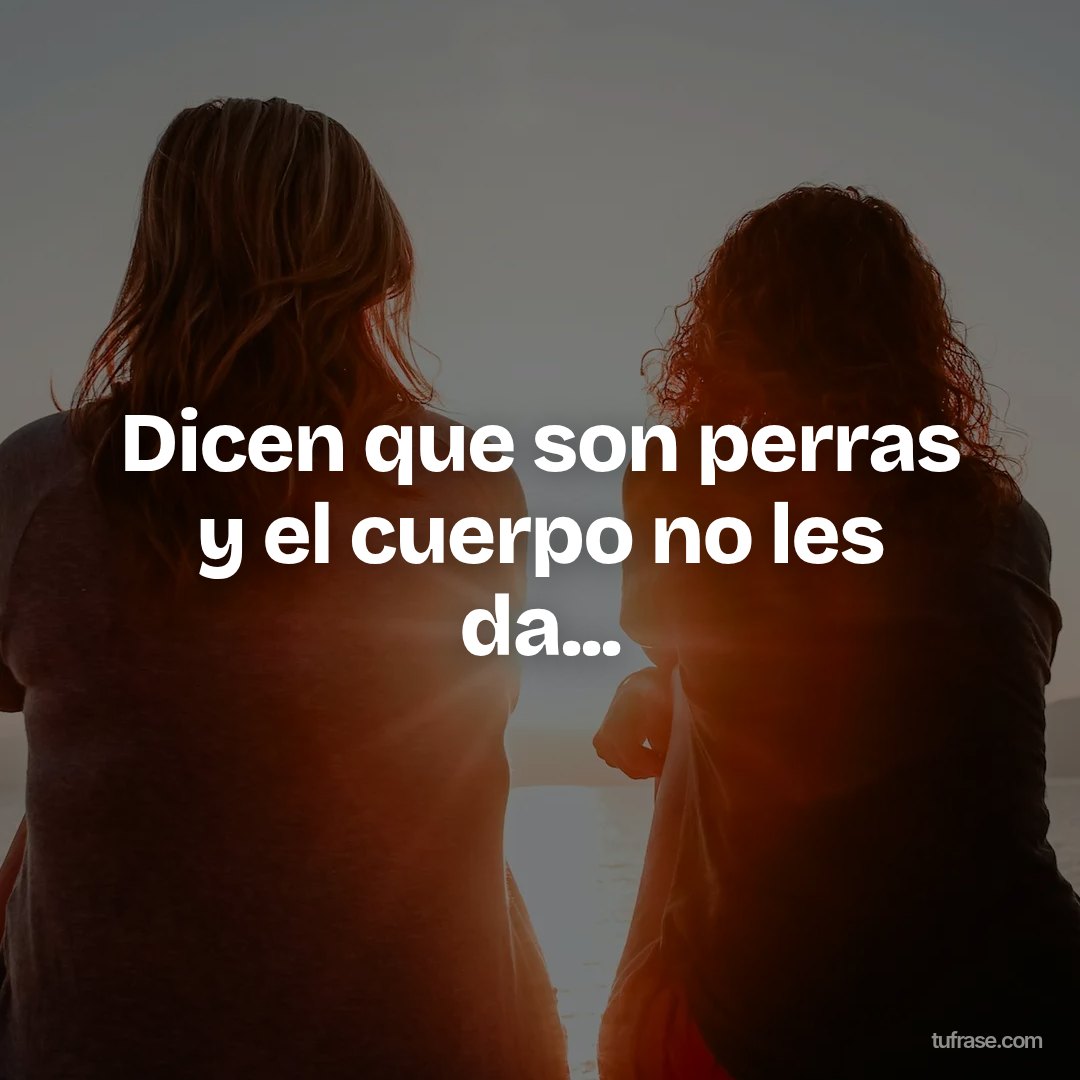 Dicen que son perras y el cuerpo no les da...