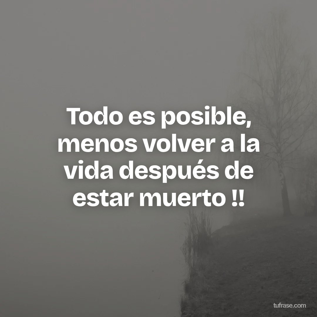 Todo es posible, menos volver a la vida después de estar muerto !!