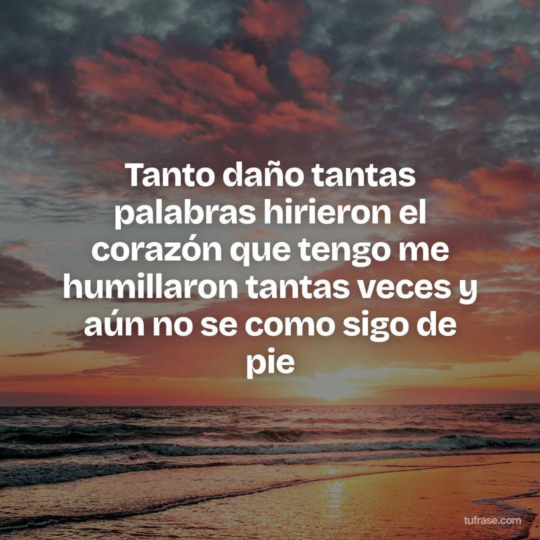 Tanto daño tantas palabras hirieron el corazón que tengo me humillaron tantas veces y aún no se como sigo de pie