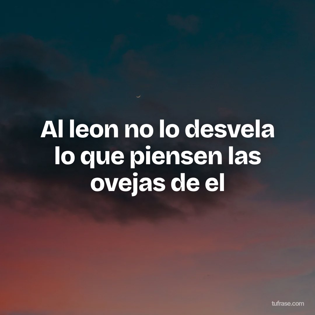Al leon no lo desvela lo que piensen las ovejas de el