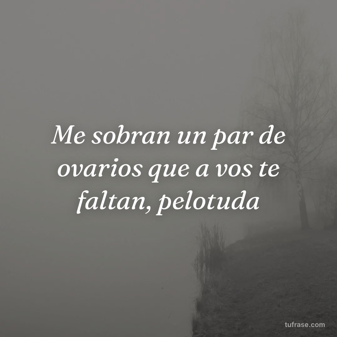 Me sobran un par de ovarios que a vos te faltan, pelotuda