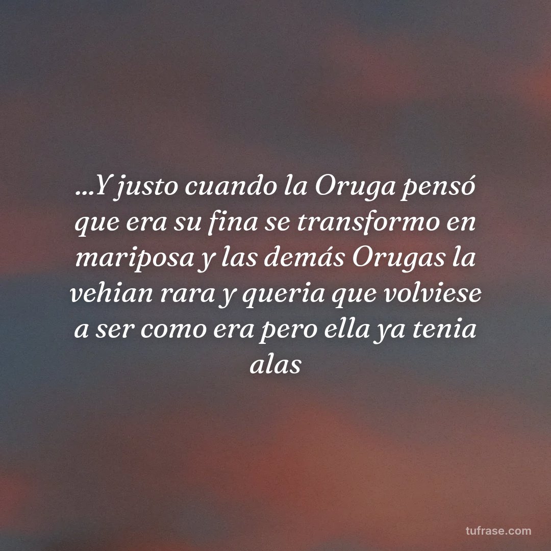 ...Y justo cuando la Oruga pensó que era su fina se transformo en mariposa y las demás Orugas la vehian rara y queria que volviese a ser como era pero ella ya tenia alas