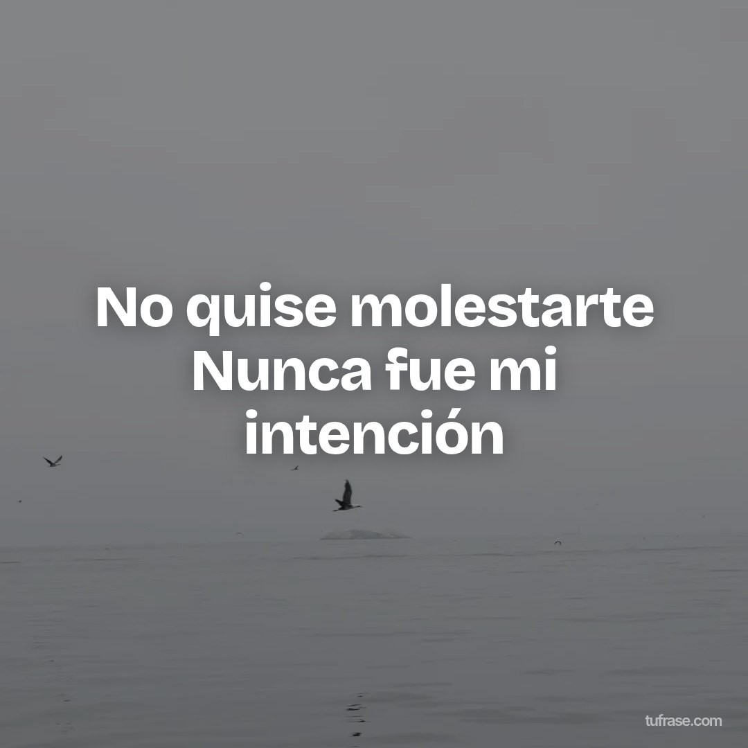 No quise molestarte Nunca fue mi intención