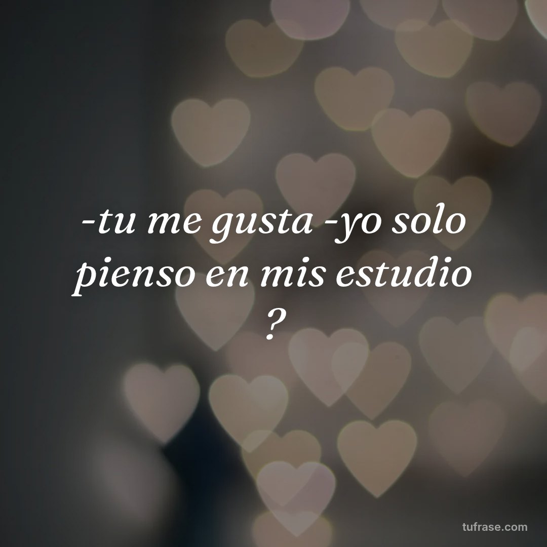 -tu me gusta -yo solo pienso en mis estudio ?