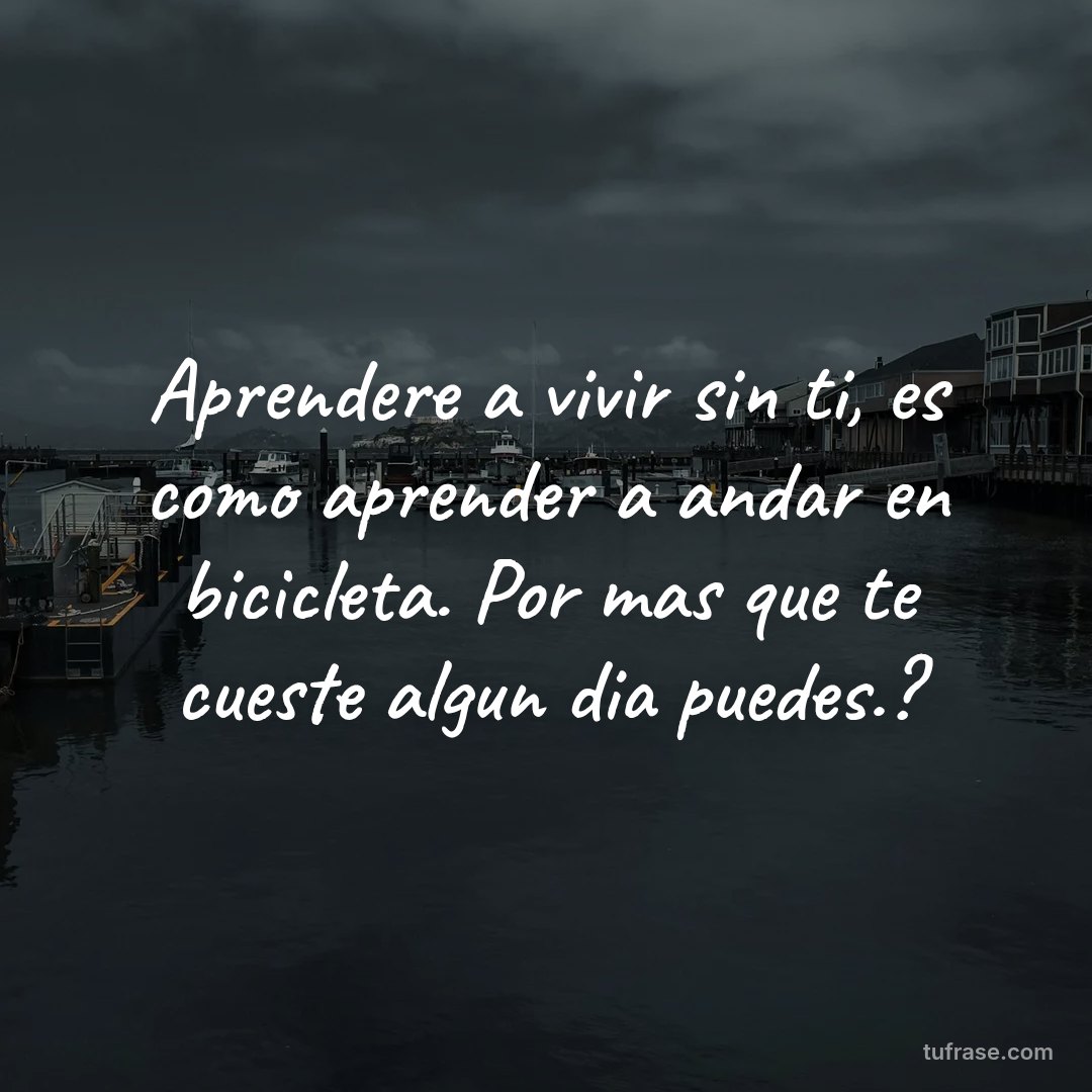 Aprendere a vivir sin ti, es como aprender a andar en bicicleta. Por mas que te cueste algun dia puedes.?