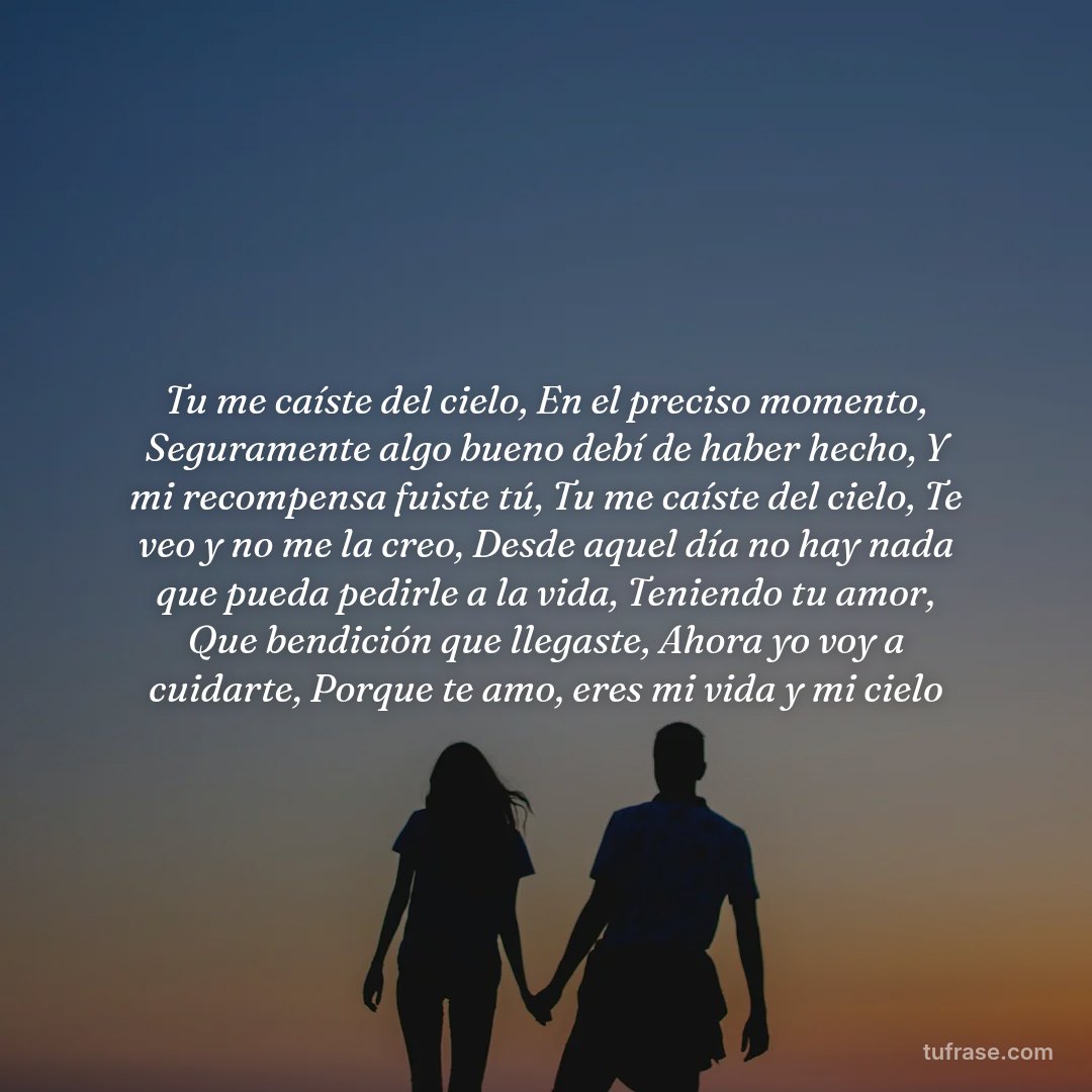Tu me caíste del cielo, En el preciso momento, Seguramente algo bueno debí de haber hecho, Y mi recompensa fuiste tú, Tu me caíste del cielo, Te veo y no me la creo, Desde aquel día no hay nada que pueda pedirle a la vida, Teniendo tu amor, Que bendición que llegaste, Ahora yo voy a cuidarte, Porque te amo, eres mi vida y mi cielo