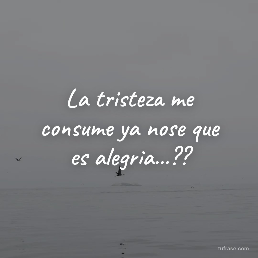 La tristeza me consume ya nose que es alegria...??