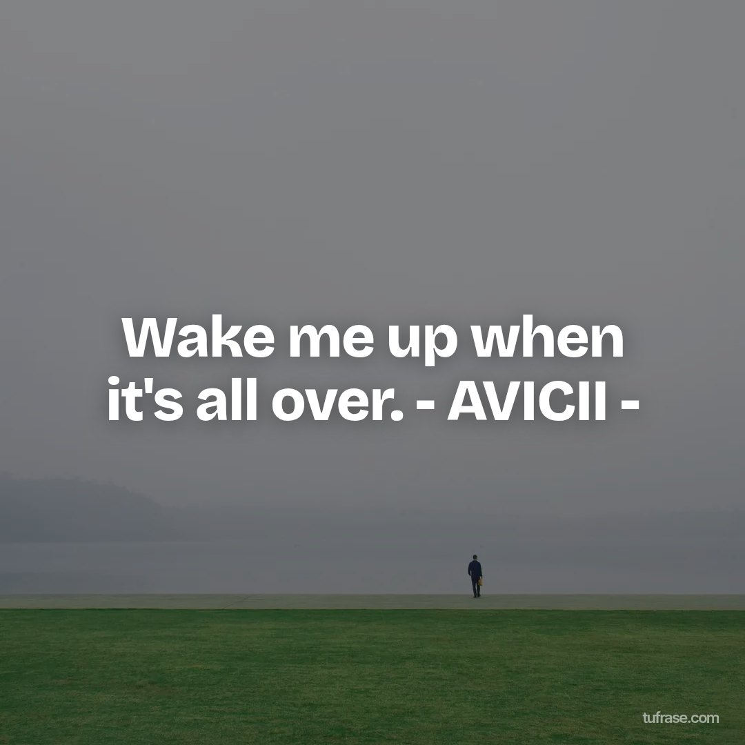 Wake me up when it's all over. - AVICII -