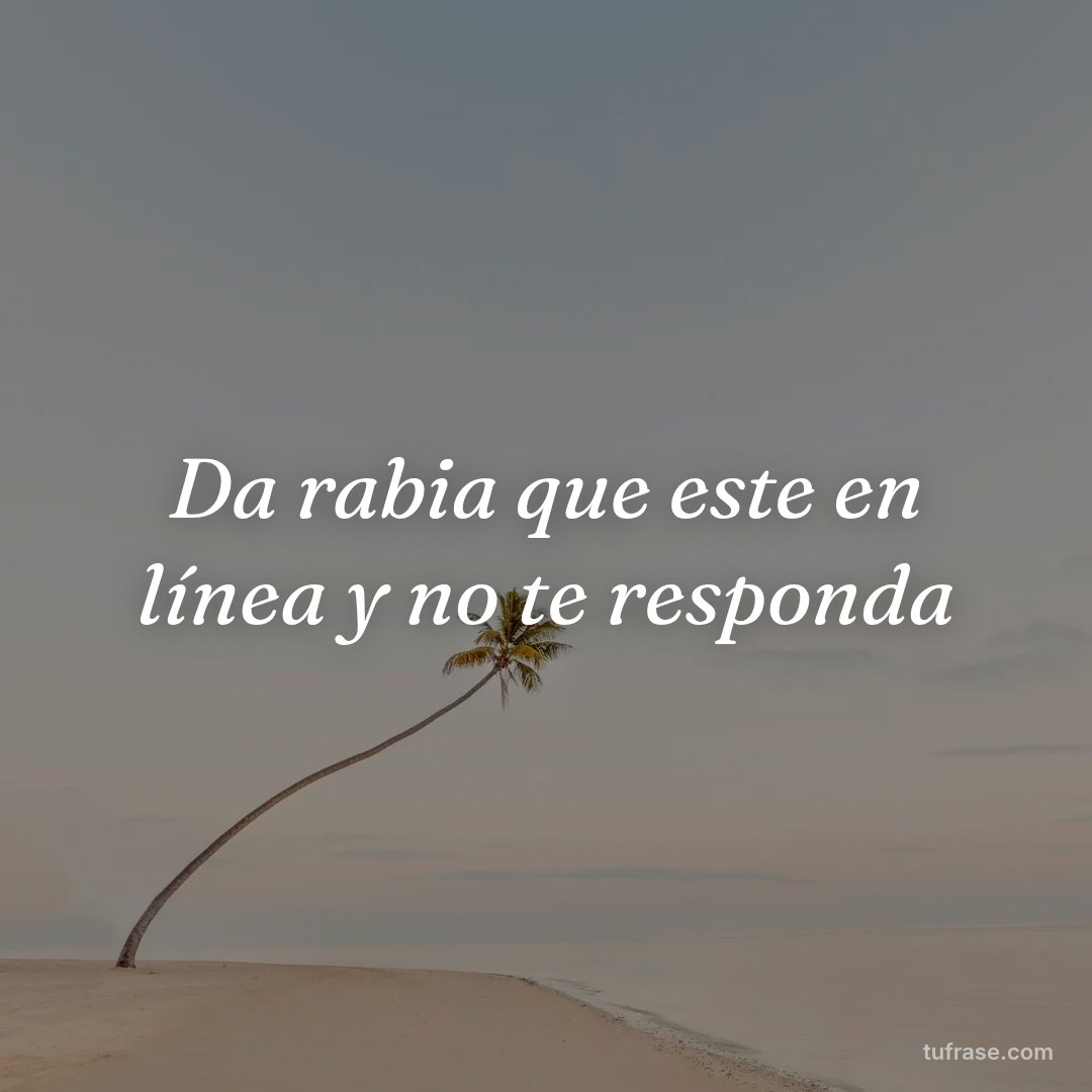 Da rabia que este en línea y no te responda