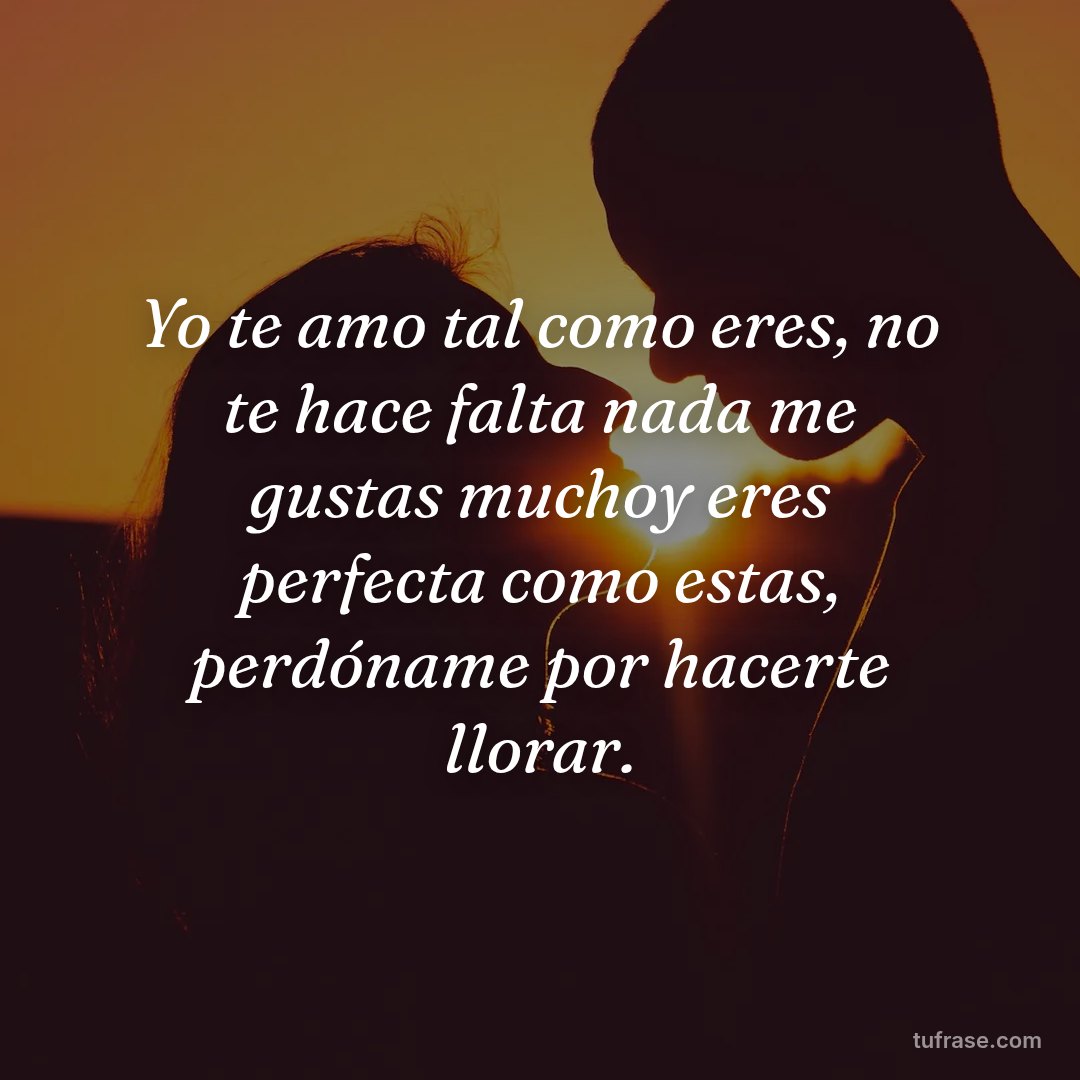 Yo te amo tal como eres, no te hace falta nada me gustas muchoy eres perfecta como estas, perdóname por hacerte llorar.