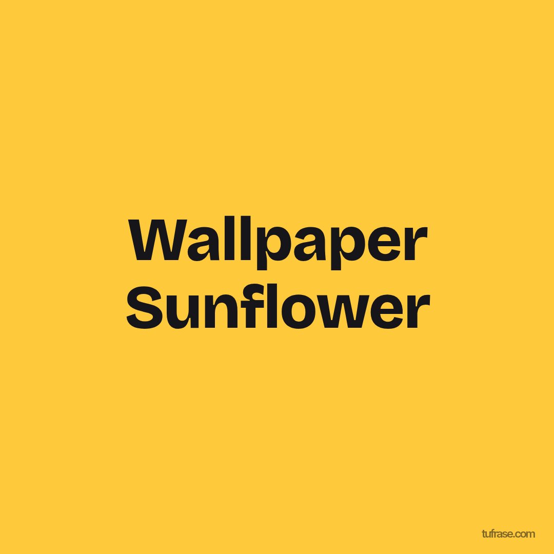 Wallpaper Sunflower