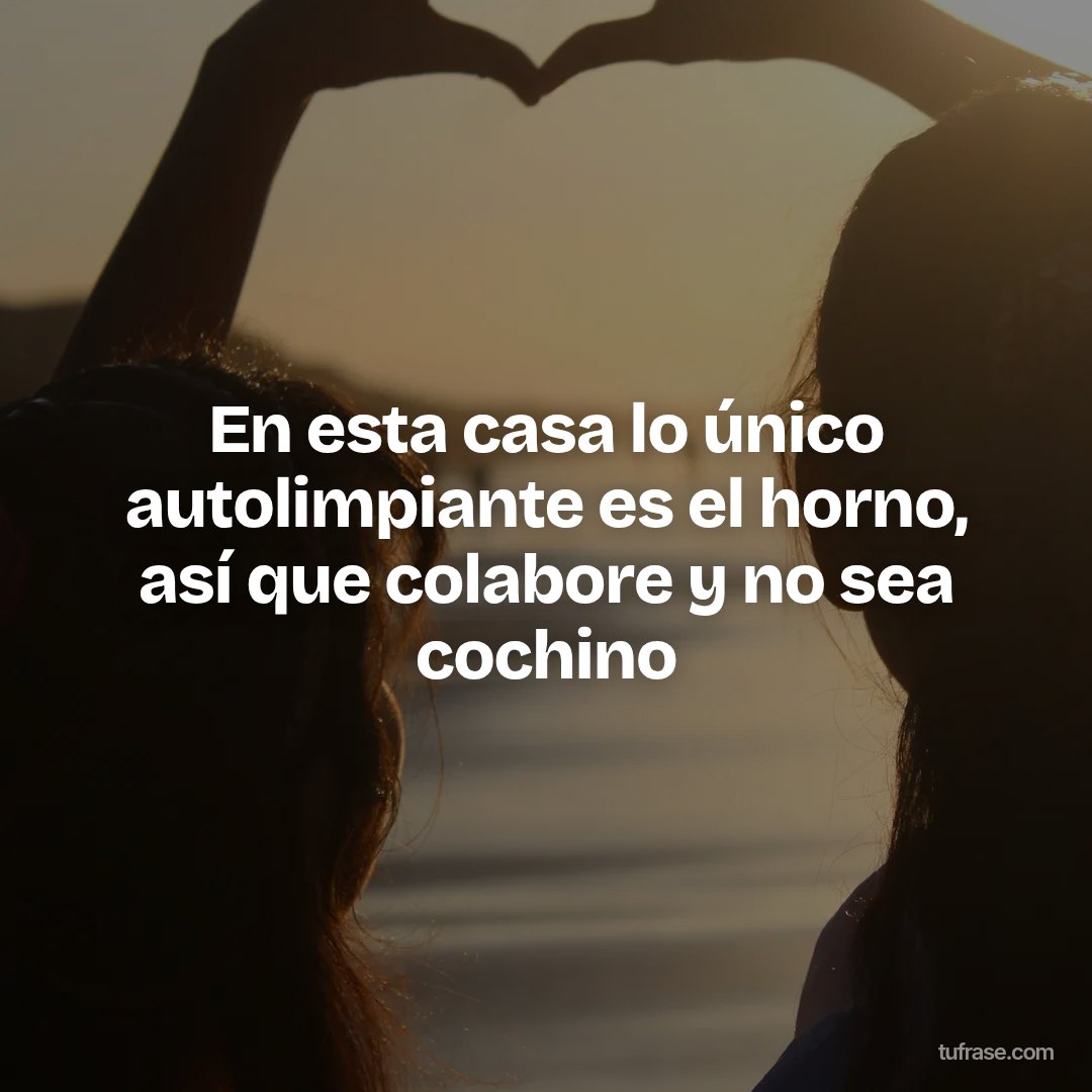 En esta casa lo único autolimpiante es el horno, así que colabore y no sea cochino