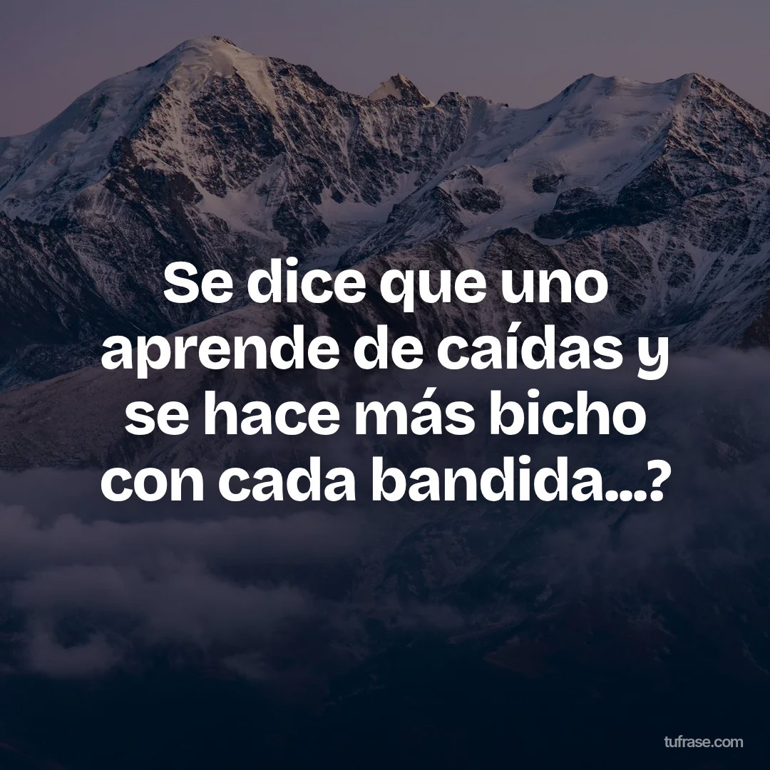 Se dice que uno aprende de caídas y se hace más bicho con cada bandida...?