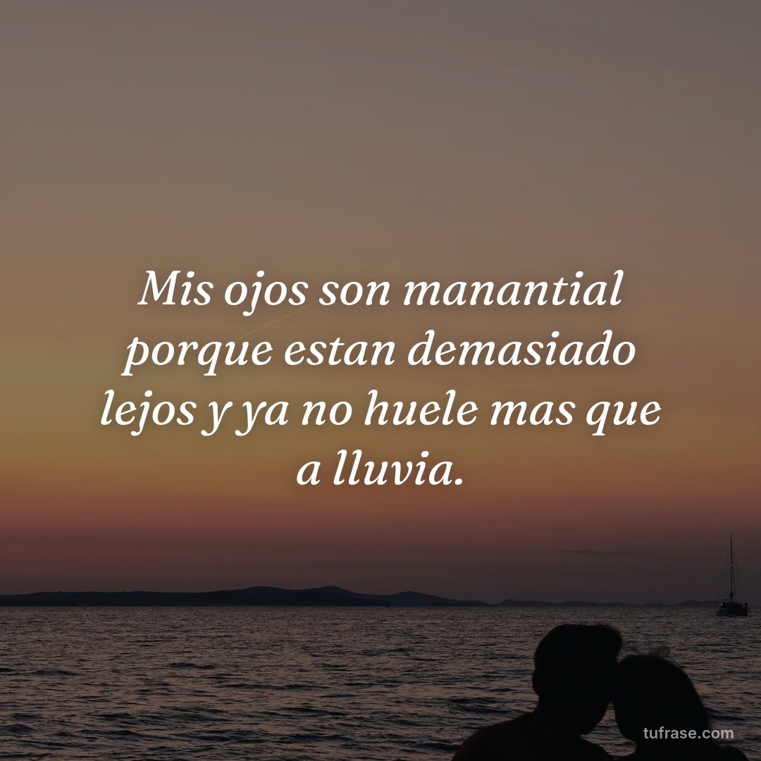 Mis ojos son manantial porque estan demasiado lejos y ya no huele mas que a lluvia.