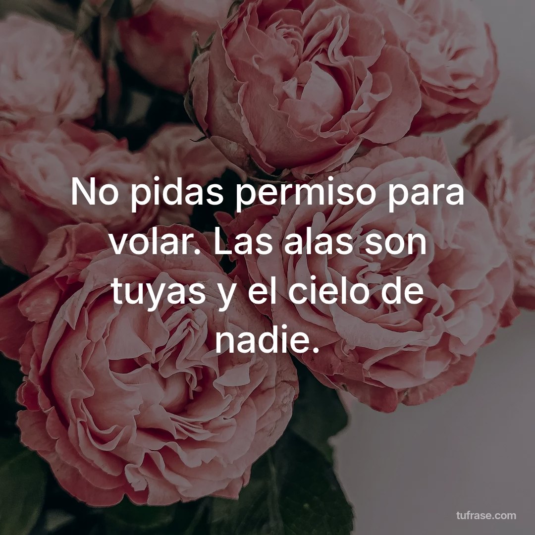 No pidas permiso para volar. Las alas son tuyas y el cielo de nadie.