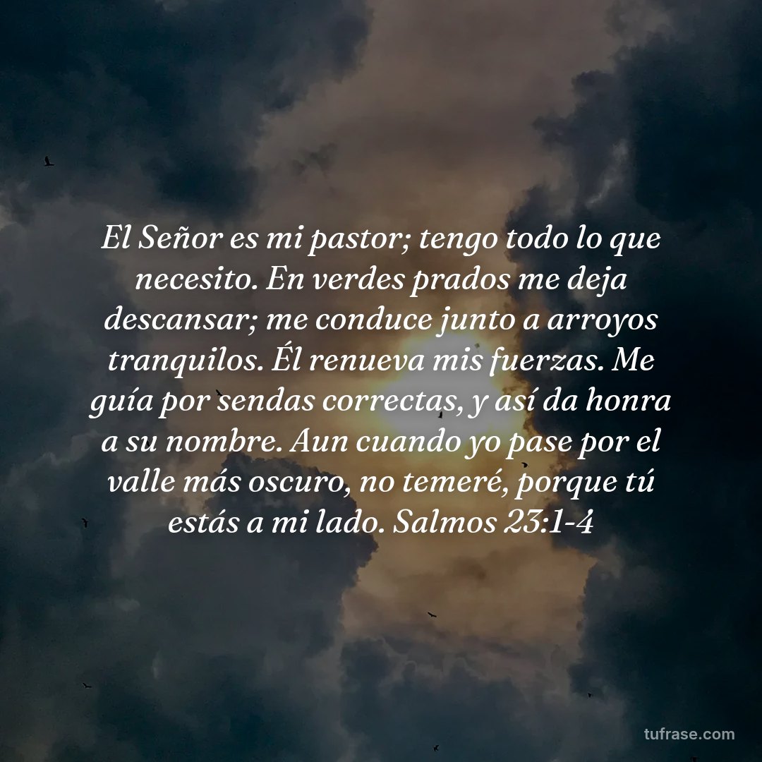 El Señor es mi pastor; tengo todo lo que necesito. En verdes prados me deja descansar; me conduce junto a arroyos tranquilos. Él renueva mis fuerzas. Me guía por sendas correctas, y así da honra a su nombre. Aun cuando yo pase por el valle más oscuro, no temeré, porque tú estás a mi lado. Salmos 23:1‭-‬4