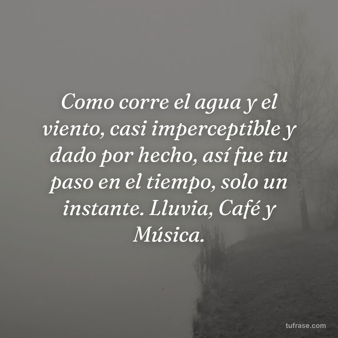Como corre el agua y el viento, casi imperceptible y dado por hecho, así fue tu paso en el tiempo, solo un instante. Lluvia, Café y Música.