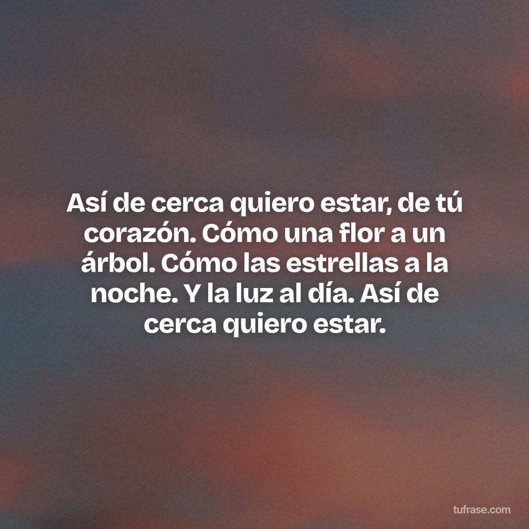 Así de cerca quiero estar, de tú corazón. Cómo una flor a un árbol. Cómo las estrellas a la noche. Y la luz al día. Así de cerca quiero estar.