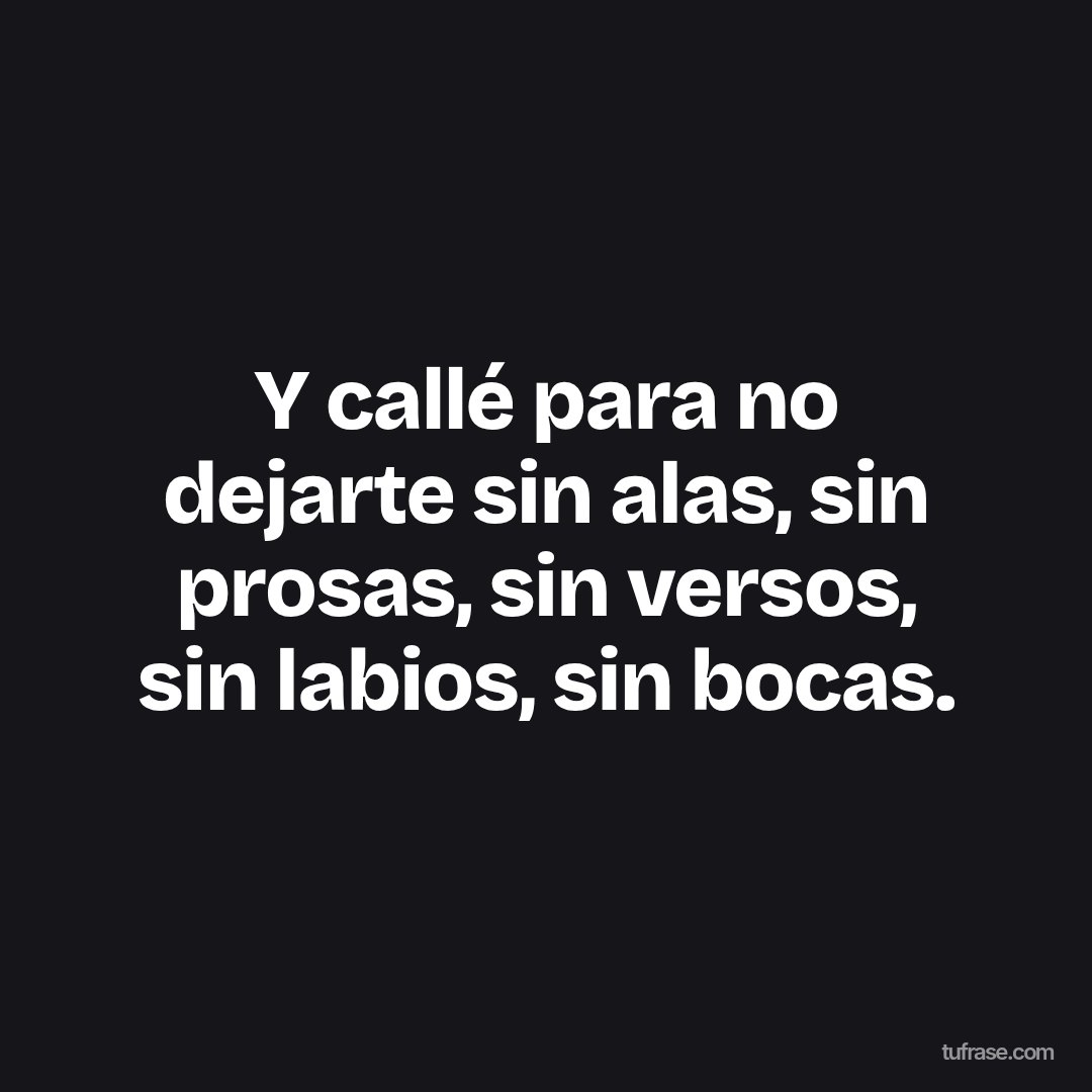 Y callé para no dejarte sin alas, sin prosas, sin versos, sin labios, sin bocas.