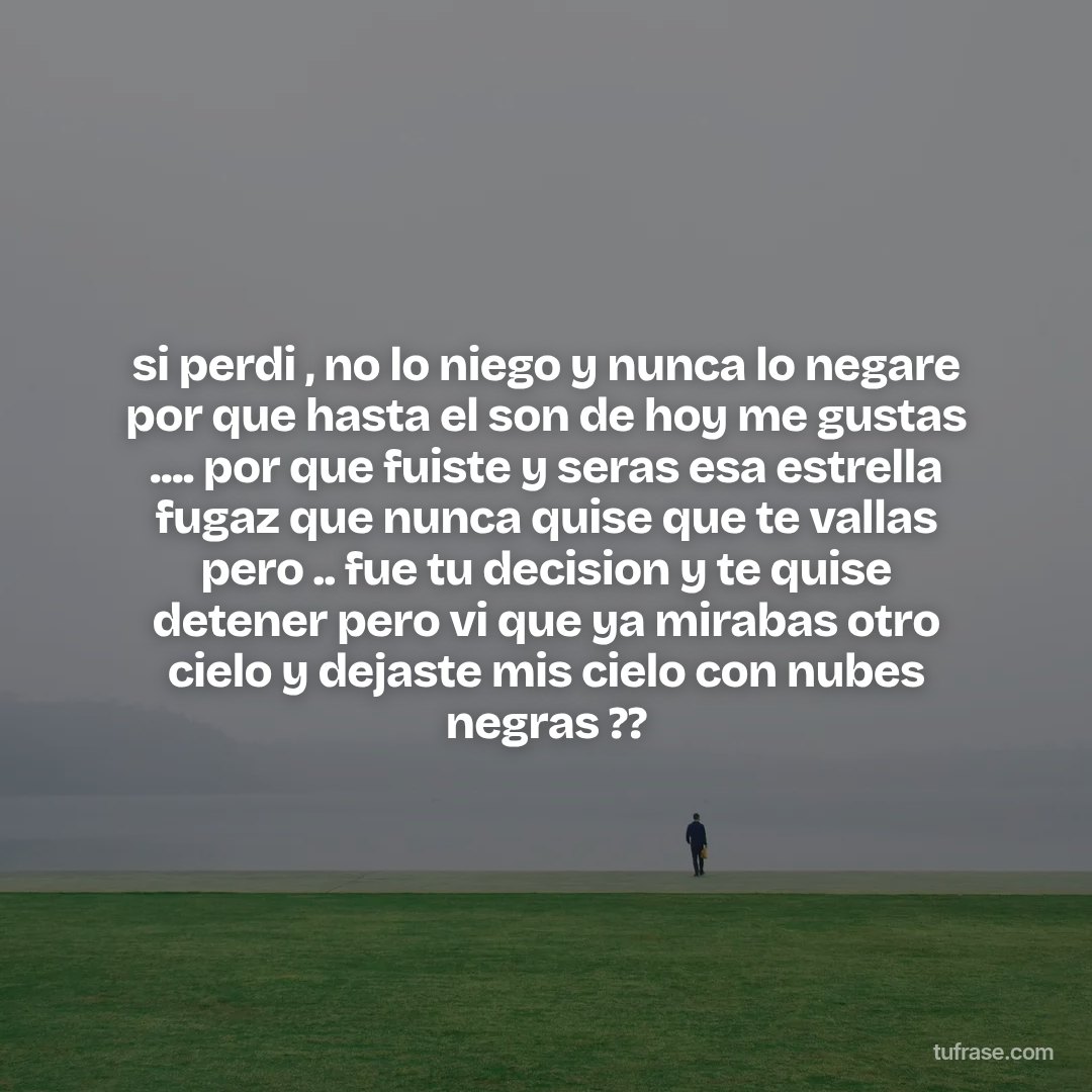 si perdi , no lo niego y nunca lo negare por que hasta el son de hoy me gustas .... por que fuiste y seras esa estrella fugaz que nunca quise que te vallas pero .. fue tu decision y te quise detener pero vi que ya mirabas otro cielo y dejaste mis cielo con nubes negras ??