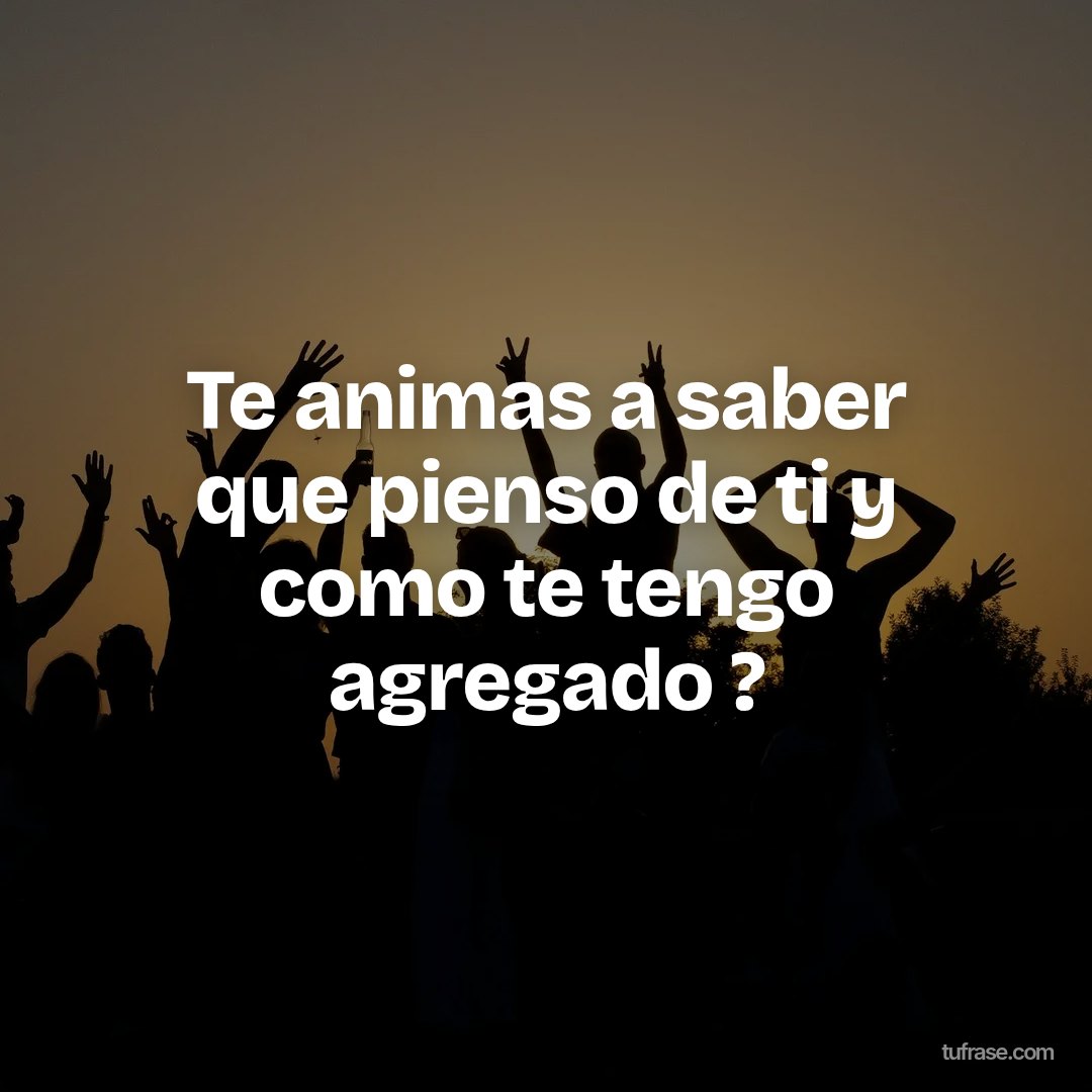 Te animas a saber que pienso de ti y como te tengo agregado ?