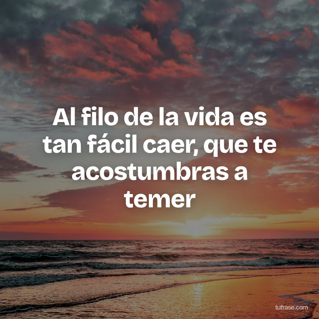 Al filo de la vida es tan fácil caer, que te acostumbras a temer