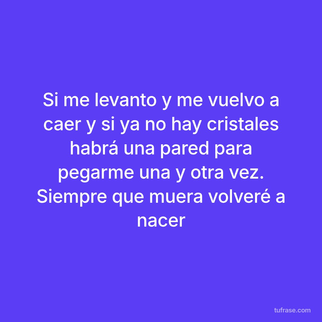 Si me levanto y me vuelvo a caer y si ya no hay cristales habrá una pared para pegarme una y otra vez. Siempre que muera volveré a nacer