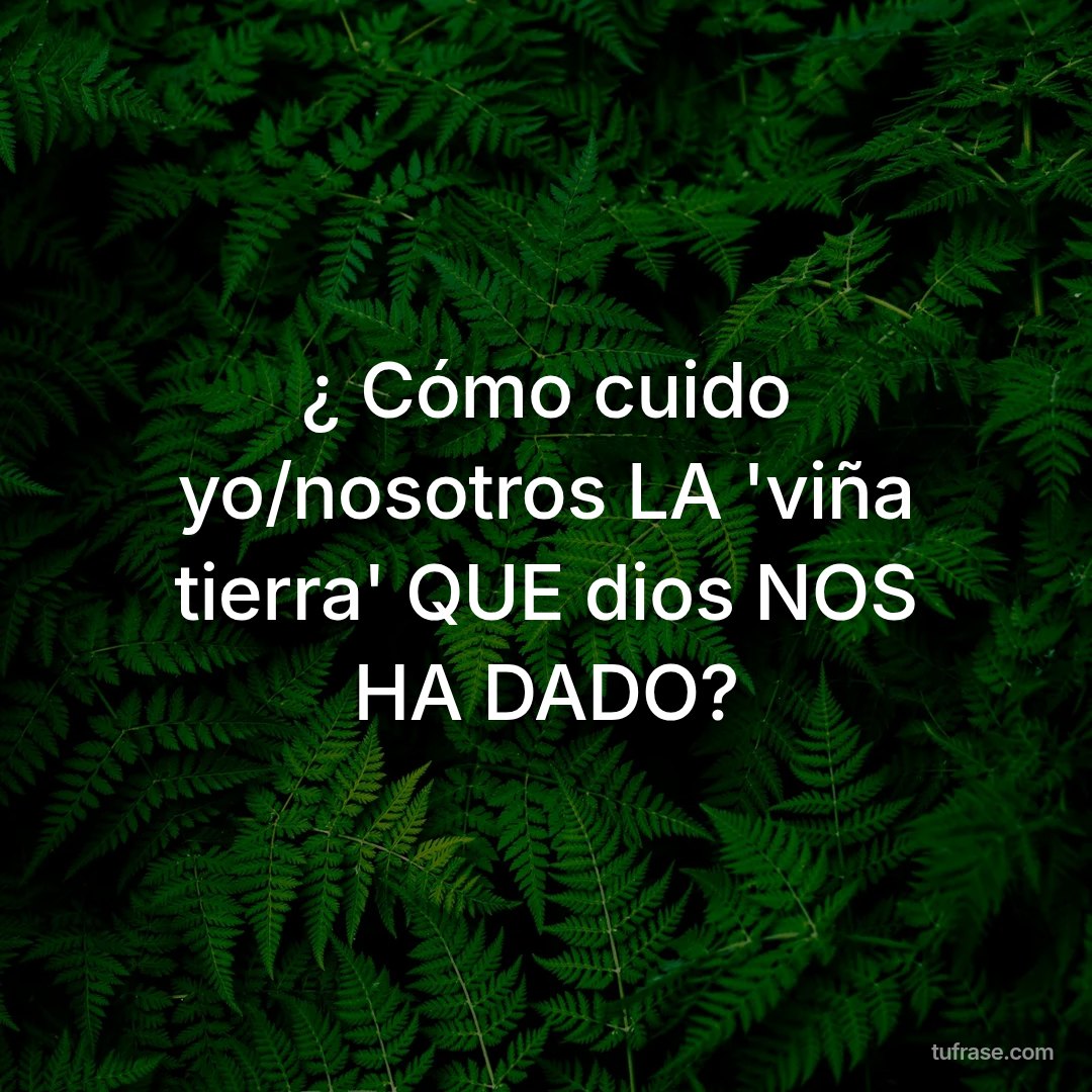 ¿ Cómo cuido yo/nosotros LA 'viña tierra' QUE dios NOS HA DADO?