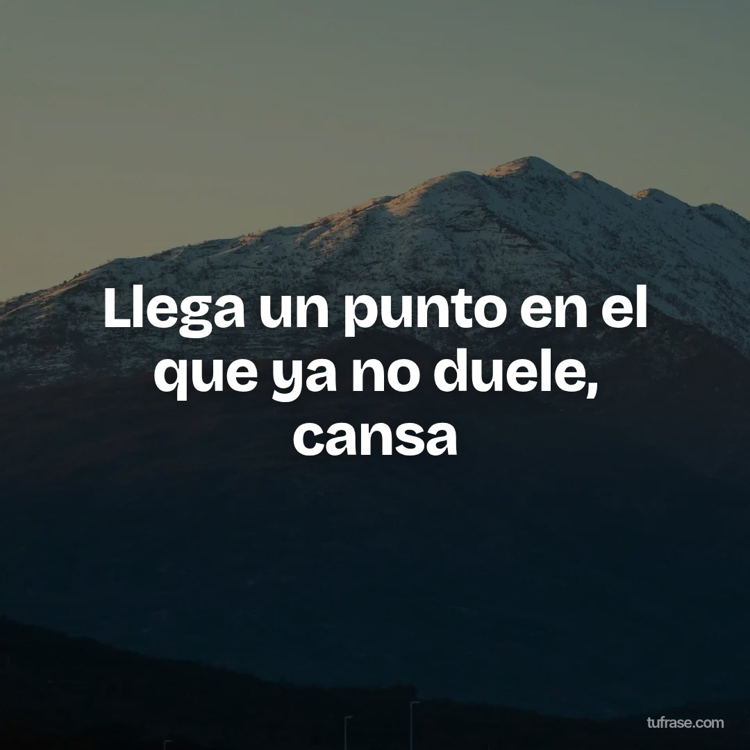 Llega un punto en el que ya no duele, cansa