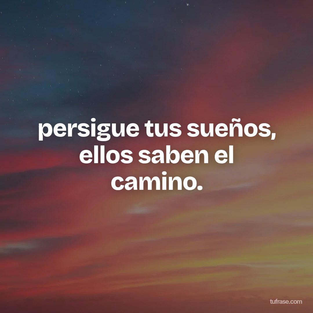 persigue tus sueños, ellos saben el camino.