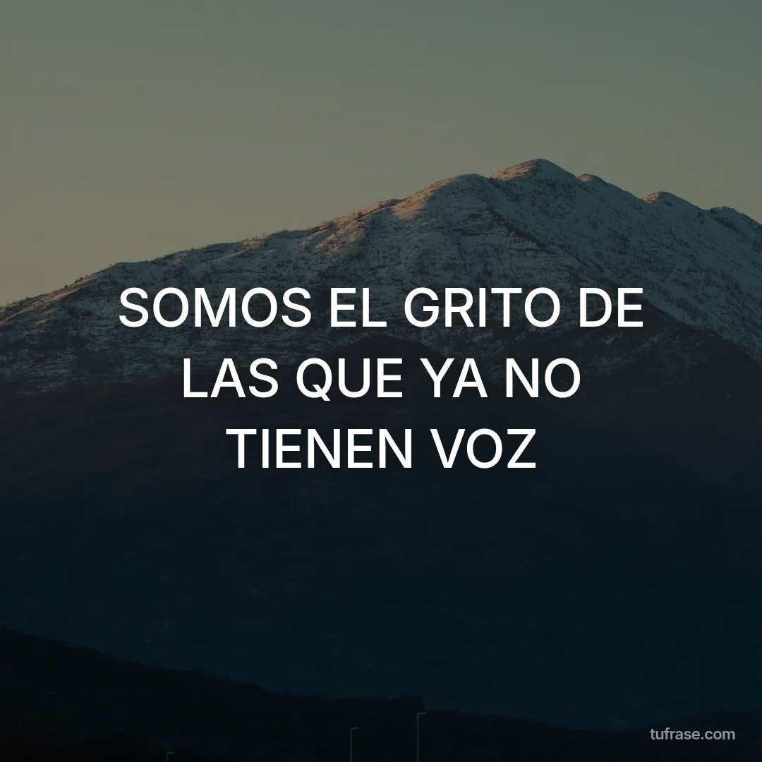 SOMOS EL GRITO DE LAS QUE YA NO TIENEN VOZ