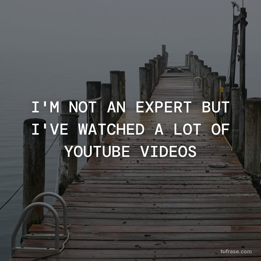I'M NOT AN EXPERT BUT I'VE WATCHED A LOT OF YOUTUBE VIDEOS