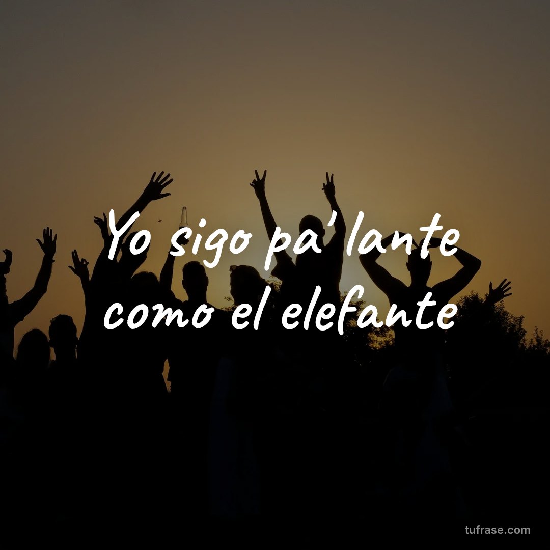 Yo sigo pa' lante como el elefante