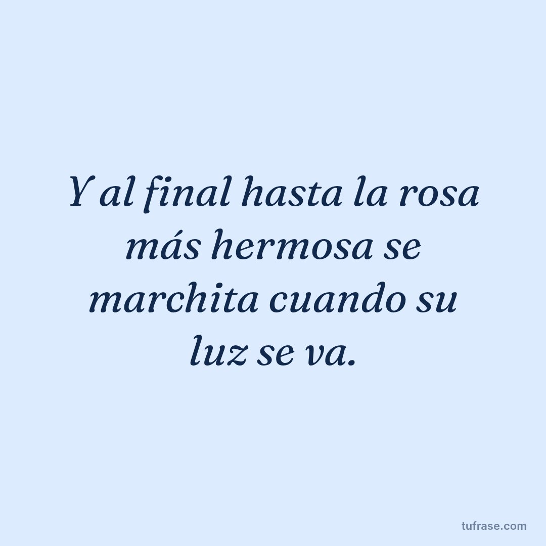 Y al final hasta la rosa más hermosa se marchita cuando su luz se va.