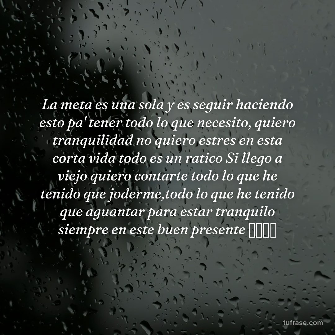 La meta es una sola y es seguir haciendo esto pa' tener todo lo que necesito, quiero tranquilidad no quiero estres en esta corta vida todo es un ratico Si llego a viejo quiero contarte todo lo que he tenido que joderme,todo lo que he tenido que aguantar para estar tranquilo siempre en este buen presente ジャール