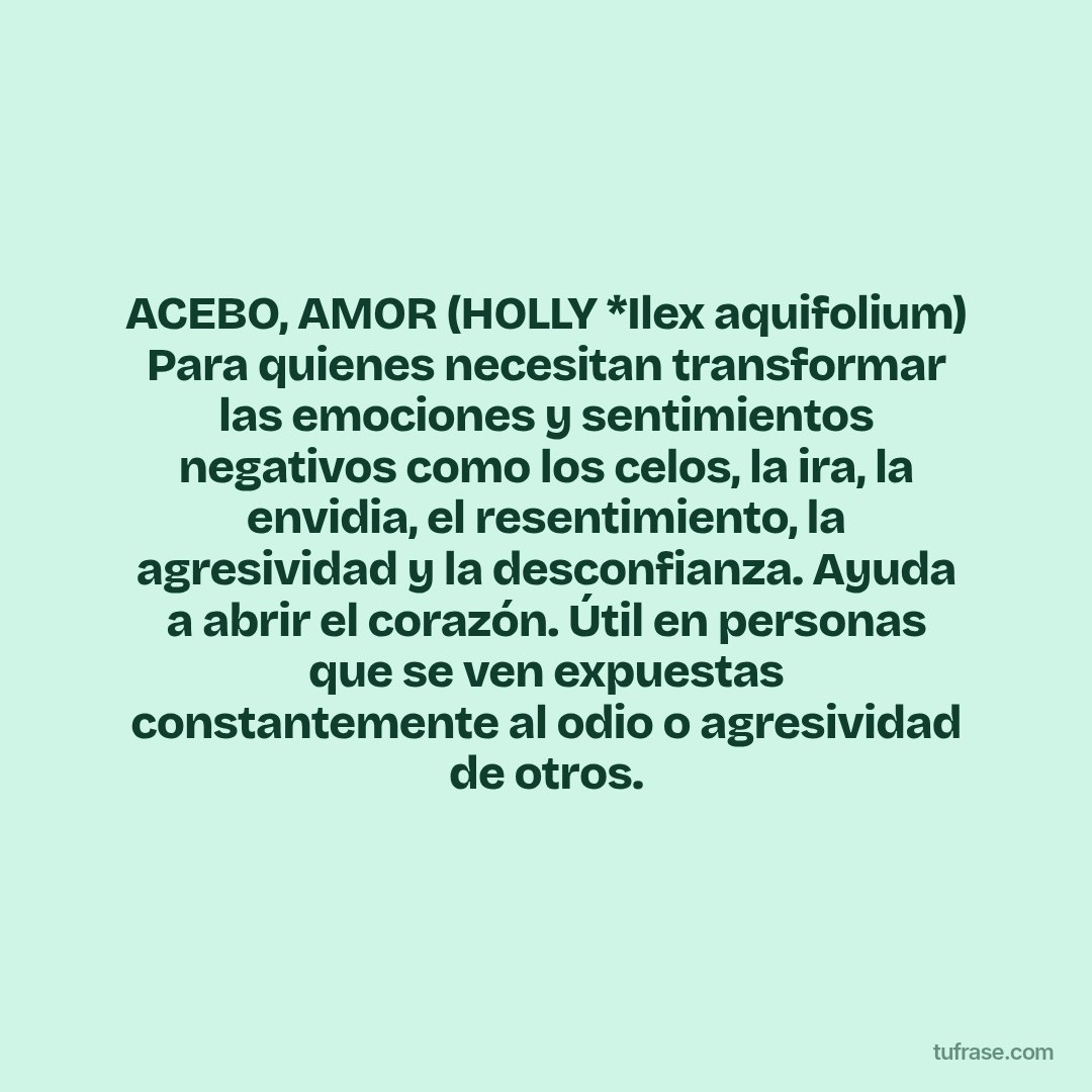 ACEBO, AMOR (HOLLY *Ilex aquifolium) Para quienes necesitan transformar las emociones y sentimientos negativos como los celos, la ira, la envidia, el resentimiento, la agresividad y la desconfianza. Ayuda a abrir el corazón. Útil en personas que se ven expuestas constantemente al odio o agresividad de otros.