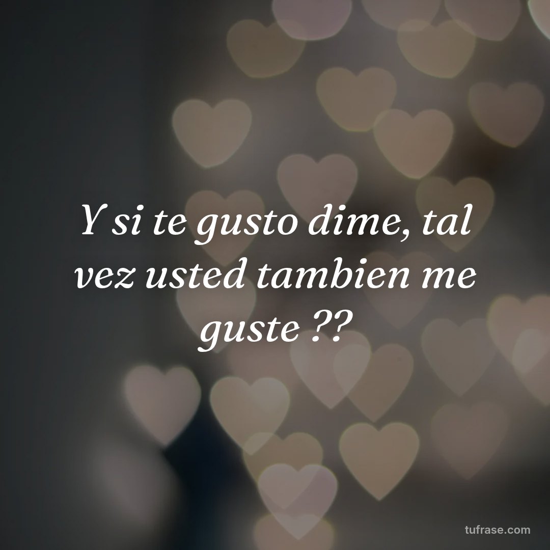 Y si te gusto dime, tal vez usted tambien me guste ??