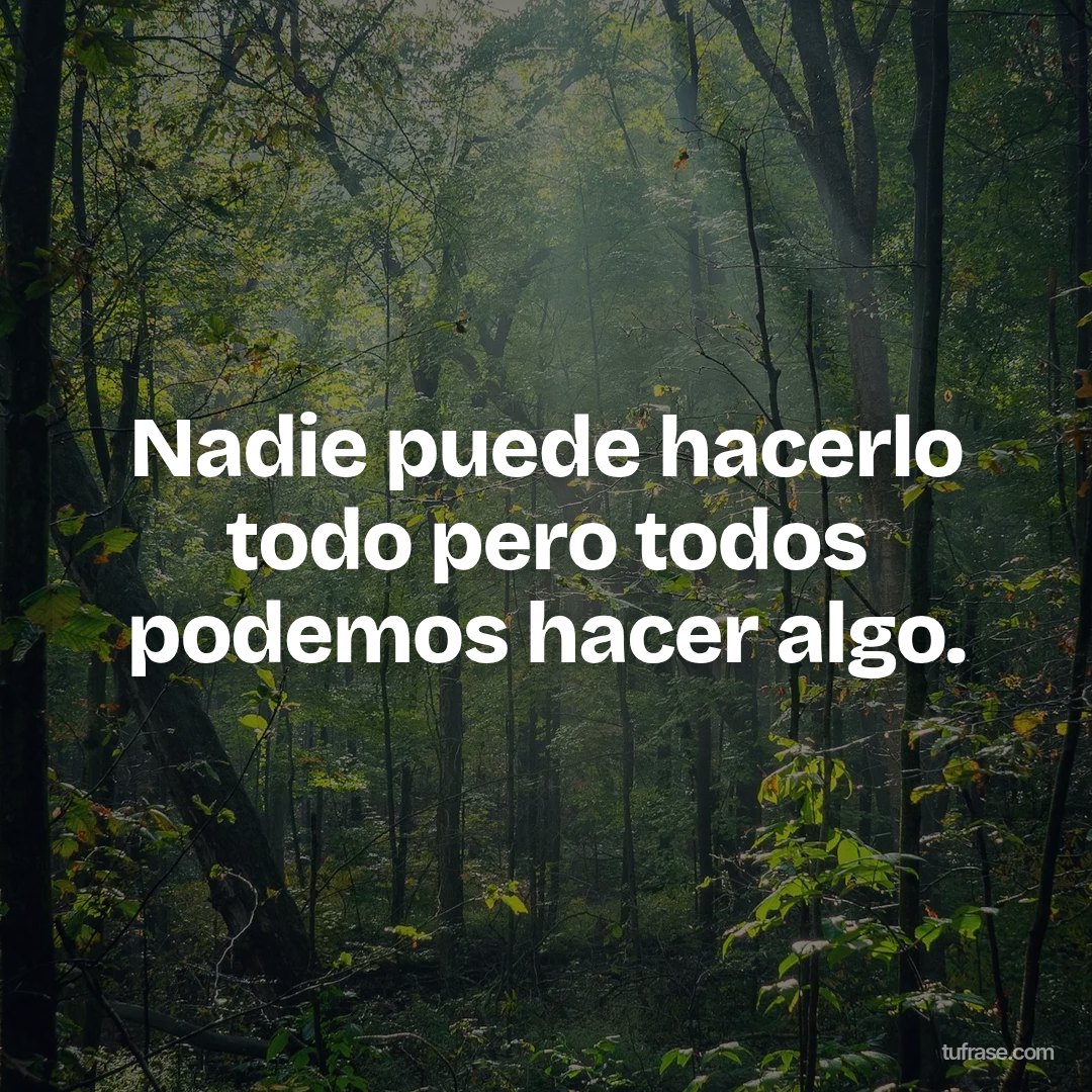 Nadie puede hacerlo todo pero todos podemos hacer algo.
