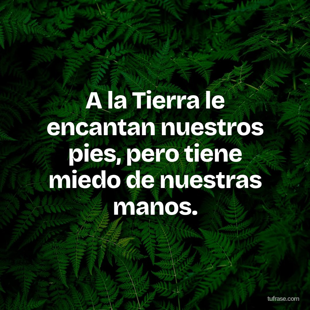 A la Tierra le encantan nuestros pies, pero tiene miedo de nuestras manos.