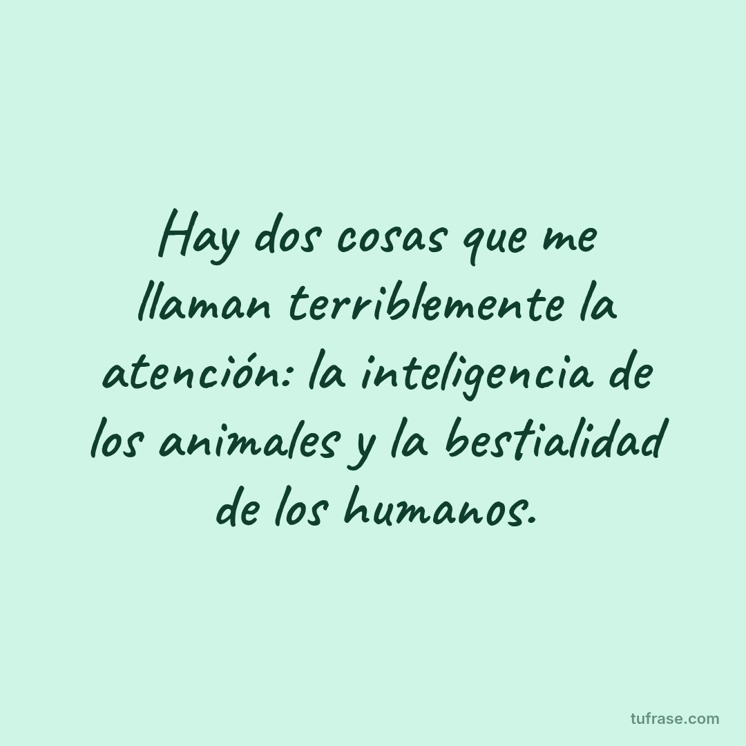 Hay dos cosas que me llaman terriblemente la atención: la inteligencia de los animales y la bestialidad de los humanos.