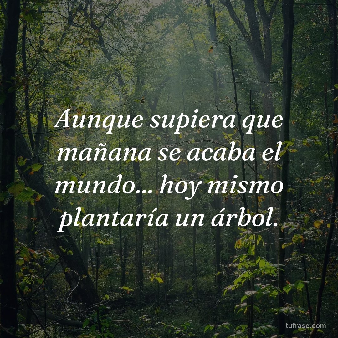 Aunque supiera que mañana se acaba el mundo... hoy mismo plantaría un árbol.