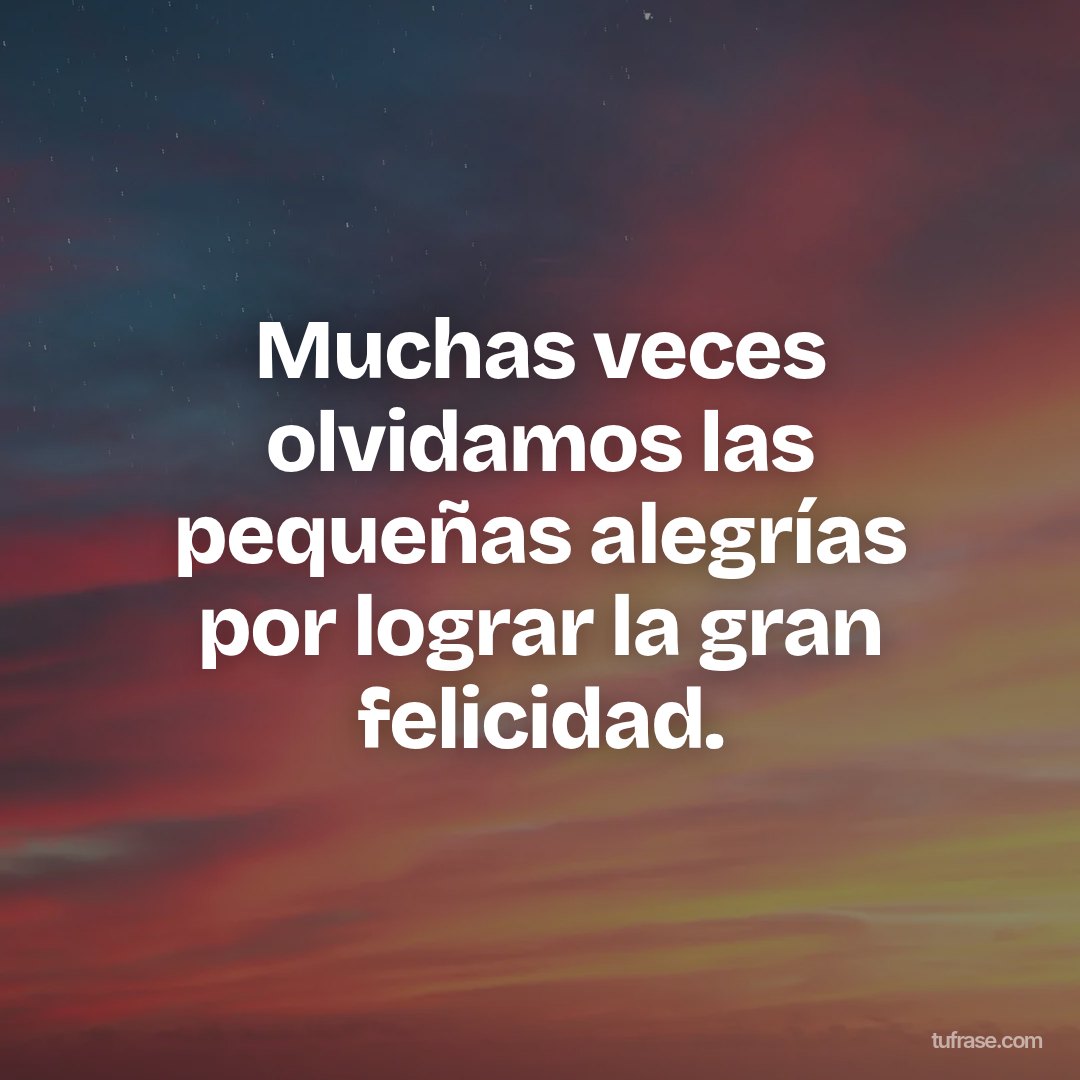 Muchas veces olvidamos las pequeñas alegrías por lograr la gran felicidad.