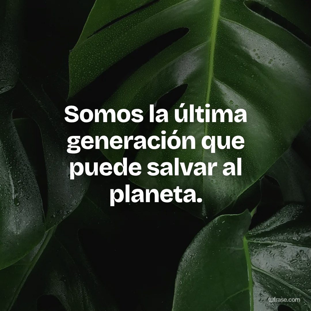 Somos la última generación que puede salvar al planeta.
