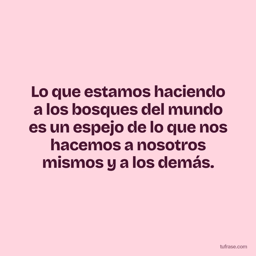 Lo que estamos haciendo a los bosques del mundo es un espejo de lo que nos hacemos a nosotros mismos y a los demás.