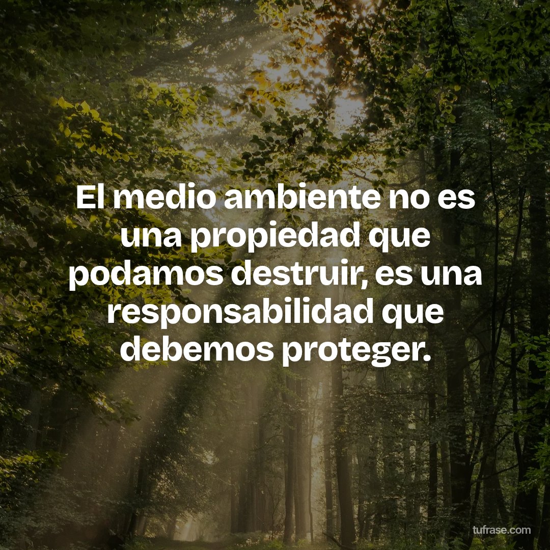 El medio ambiente no es una propiedad que podamos destruir, es una responsabilidad que debemos proteger.