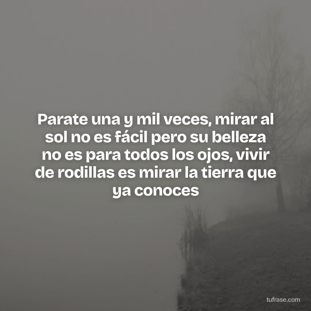 Parate una y mil veces, mirar al sol no es fácil pero su belleza no es para todos los ojos, vivir de rodillas es mirar la tierra que ya conoces